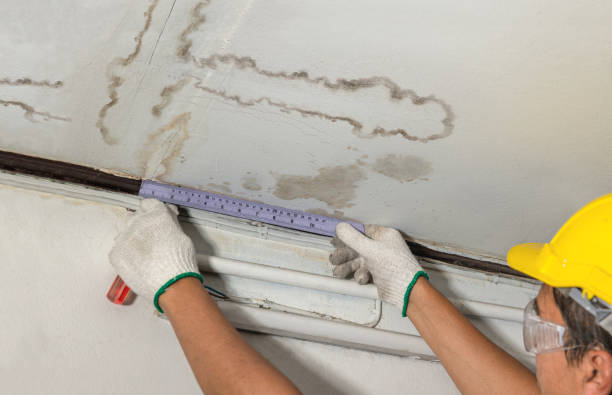 Reliable Structural Drying contractor in Graysville, OH by Water Damage Irwin